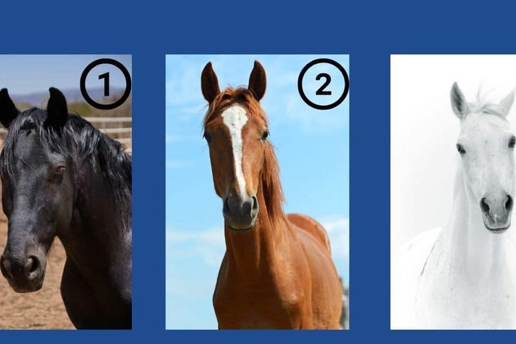 Uji Kepribadian: Pilih Kuda Favoritmu dan Temukan Sifat Utamamu