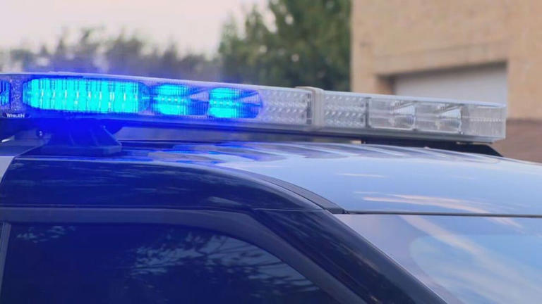 Calera police arrest Florida suspect in stolen car after tag reader alert