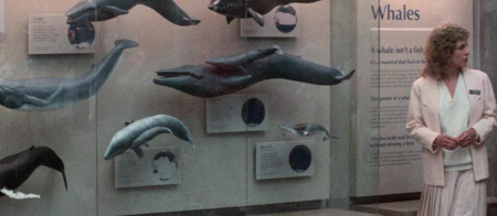 Captura De Pantalla 2025 10 17 135003