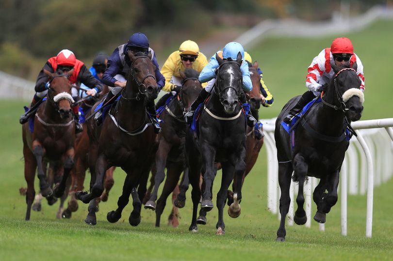 'She won it last year and should do it again' – Jason Heavey's horse ...