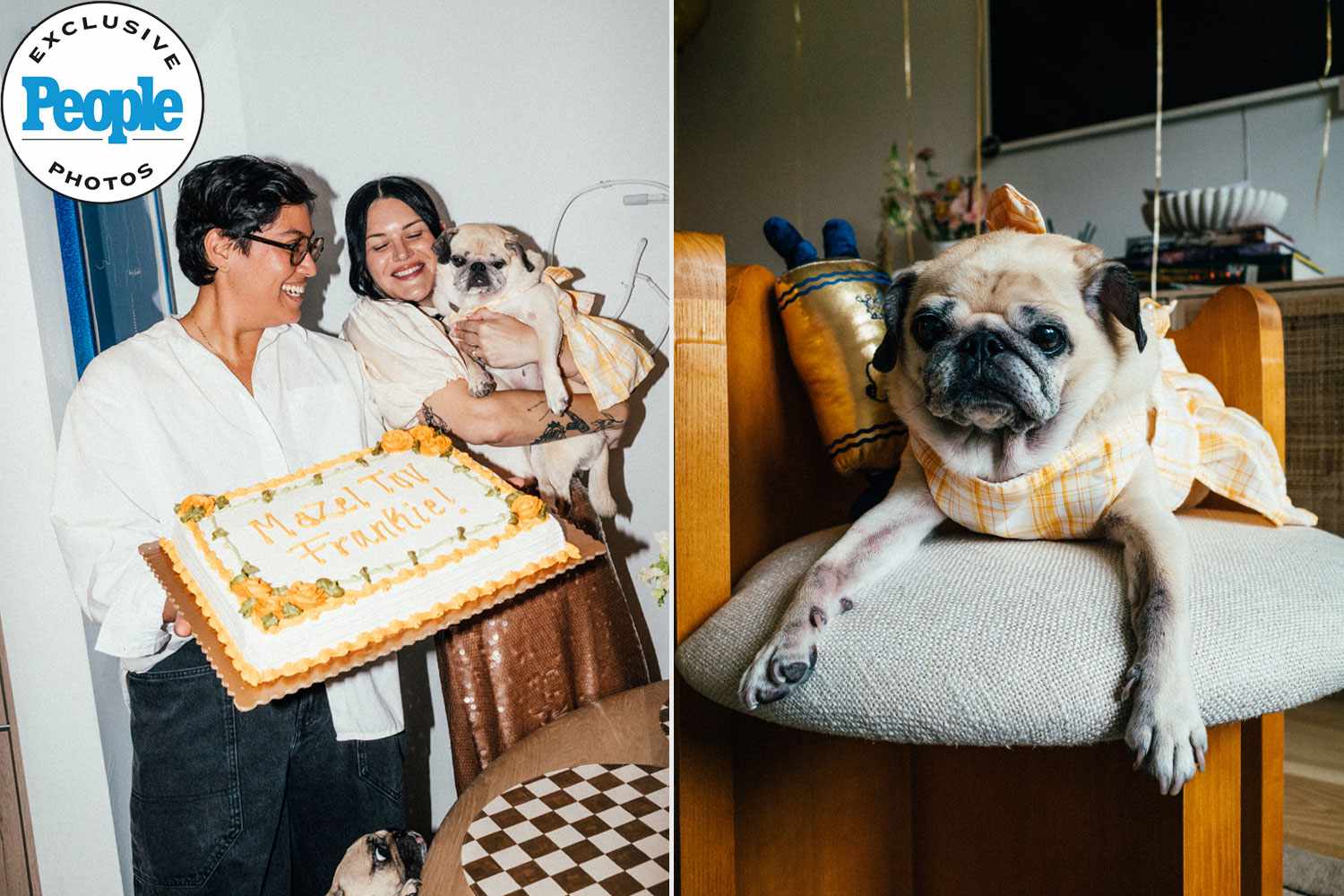Couple Throws Lavish 'Bark Mitzvah' for Dog’s 13th Birthday (Exclusive)