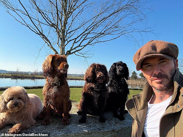 David speaks about the inspiration in the upcoming issue of Country Life magazine, which he was invited to guest edit to celebrate its 50th anniversary