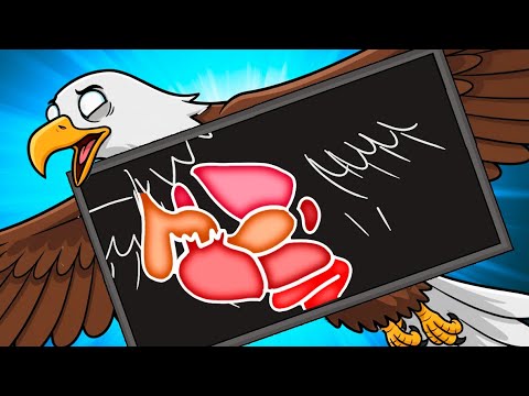 are-your-organs-different-from-a-bird-s