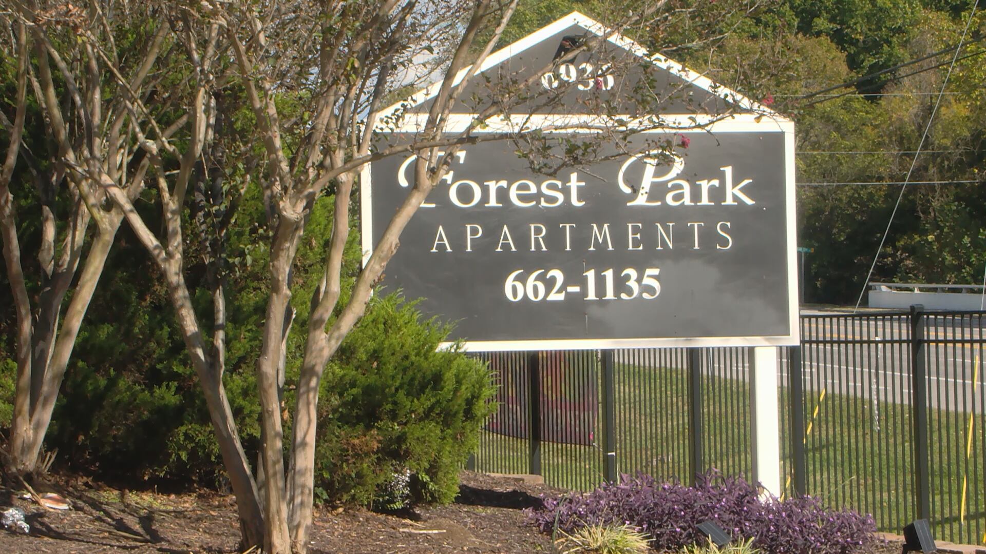 Teen fatally shot in back of the head by cousin who was firing into ...