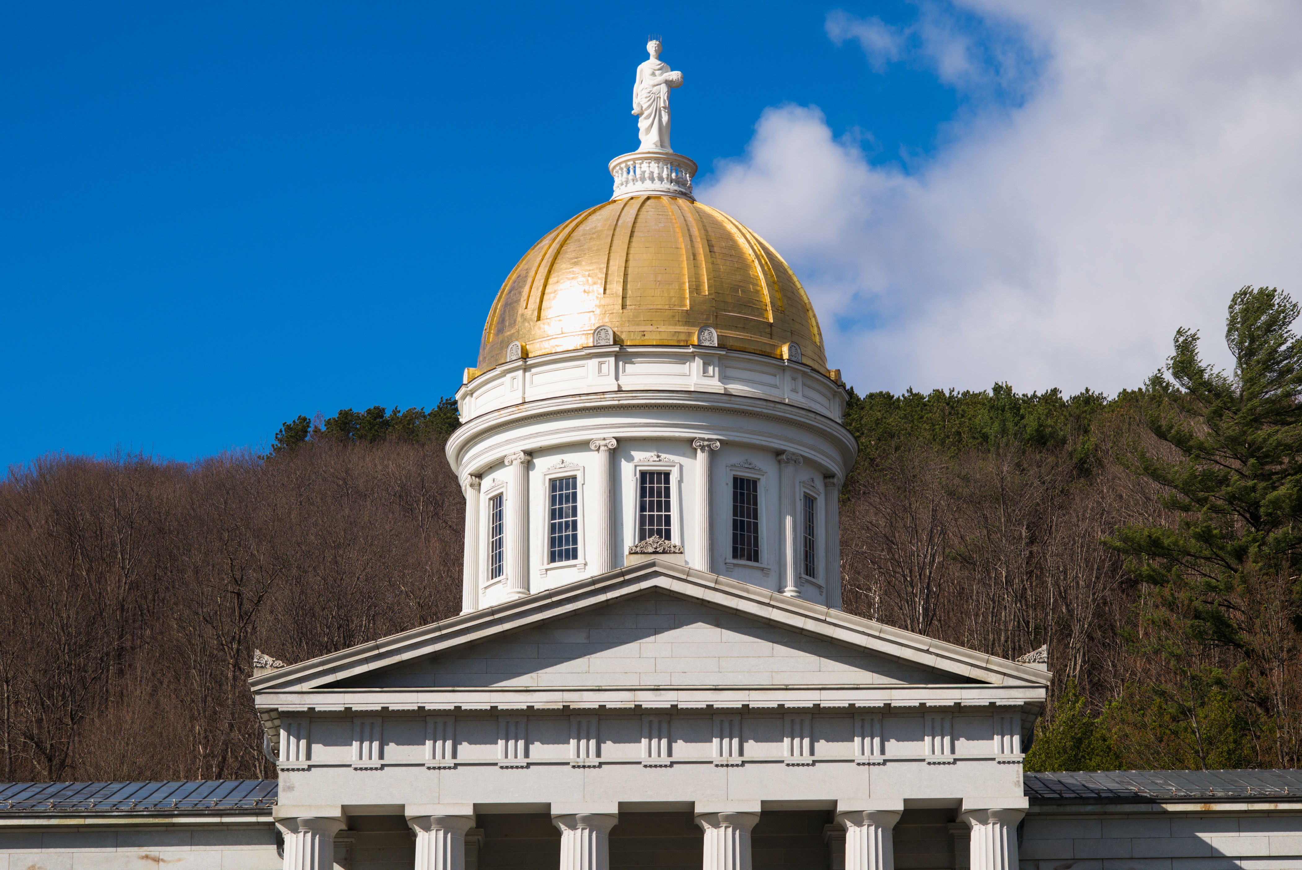 Vt. lawmaker formally resigns after fallout from racist Young ...
