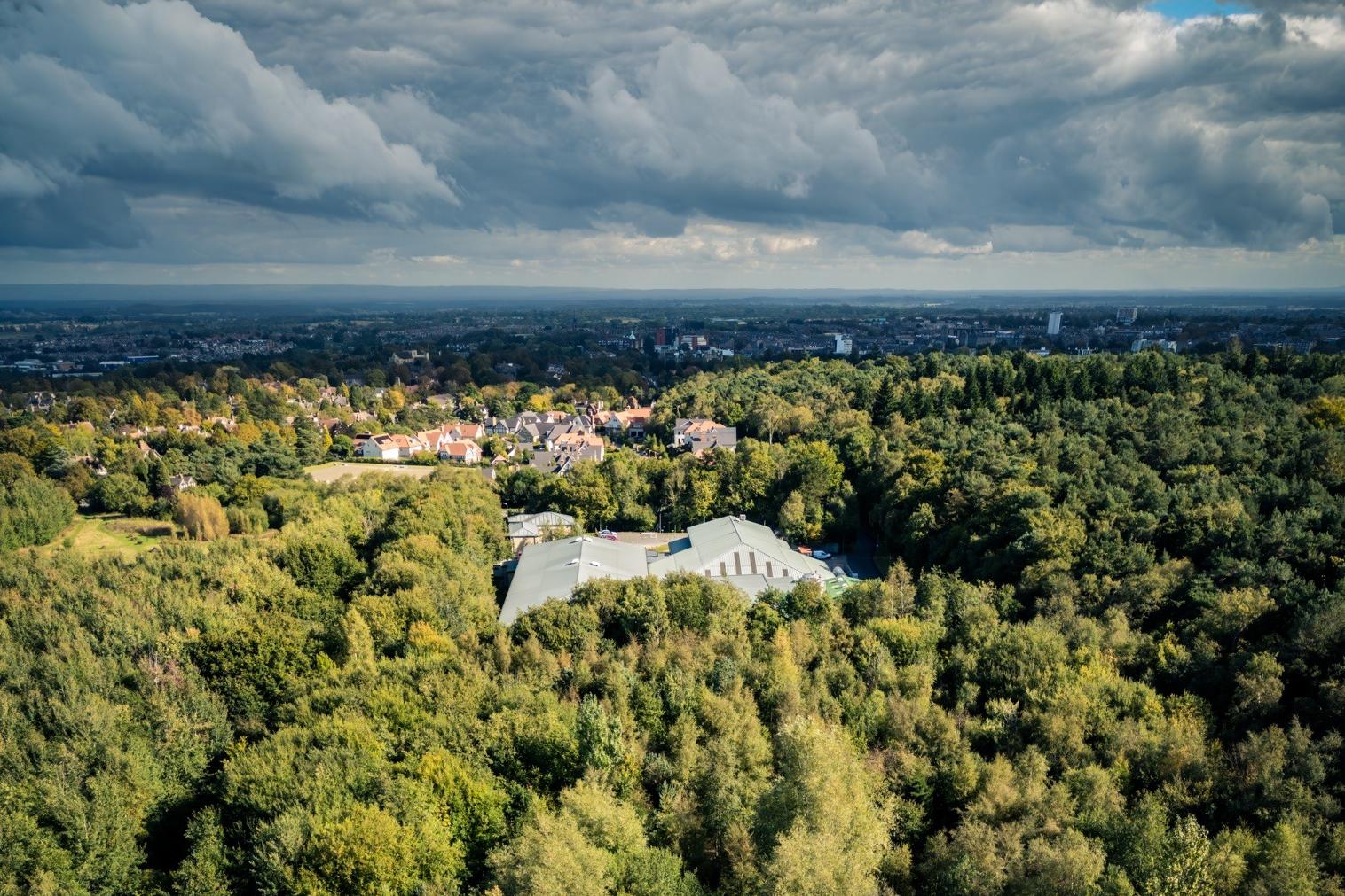 Pinewoods Conservation Group takes public stance against Harrogate firm ...