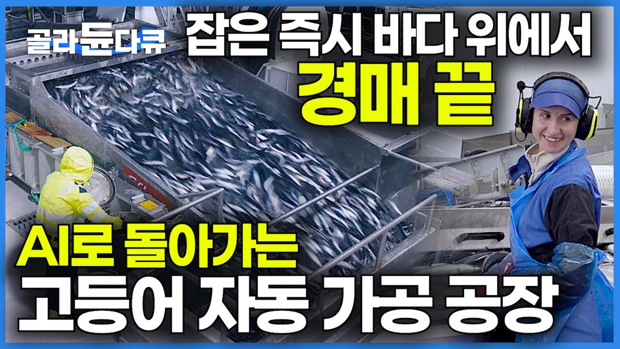 입하에서 가공까지 30분이면 끝! 상상을 초월하는 압도적 선진 어업 기술의 결정체 바로 보기｜매일 7억 원 어치 고등어를 가공 ...