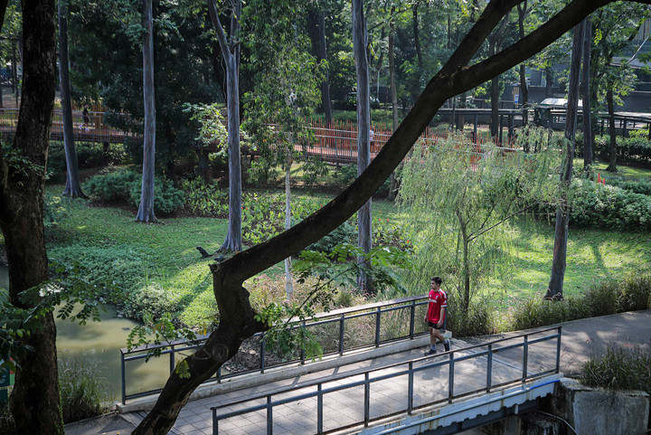 Pungli Foto di Tebet Eco Park: Pram Minta Ditertibkan, Distamhut Jamin Gratis