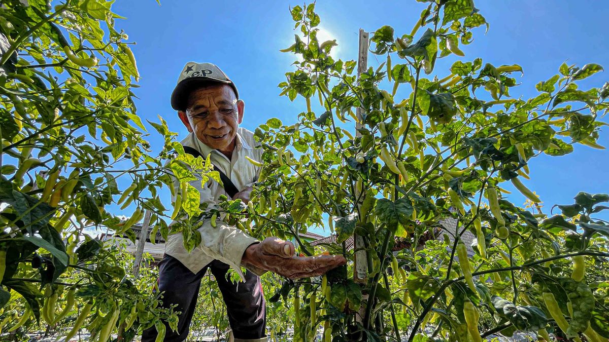 Kuasa Negara yang Tertahan: Refleksi Pasal 33 UUD 1945 dalam Kegagalan Ekonomi