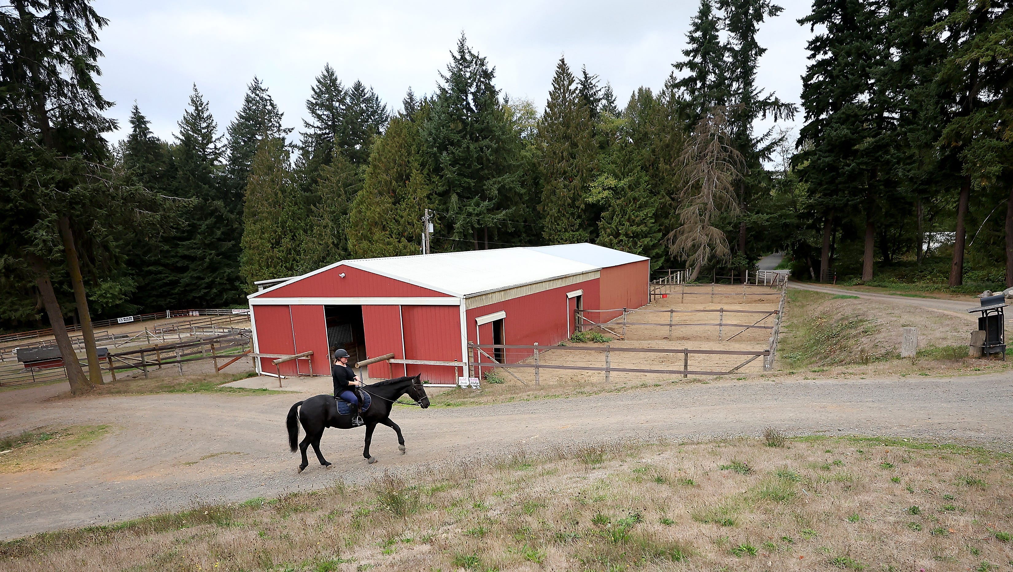 Kitsap County postpones decision on new rules for equestrian facilities