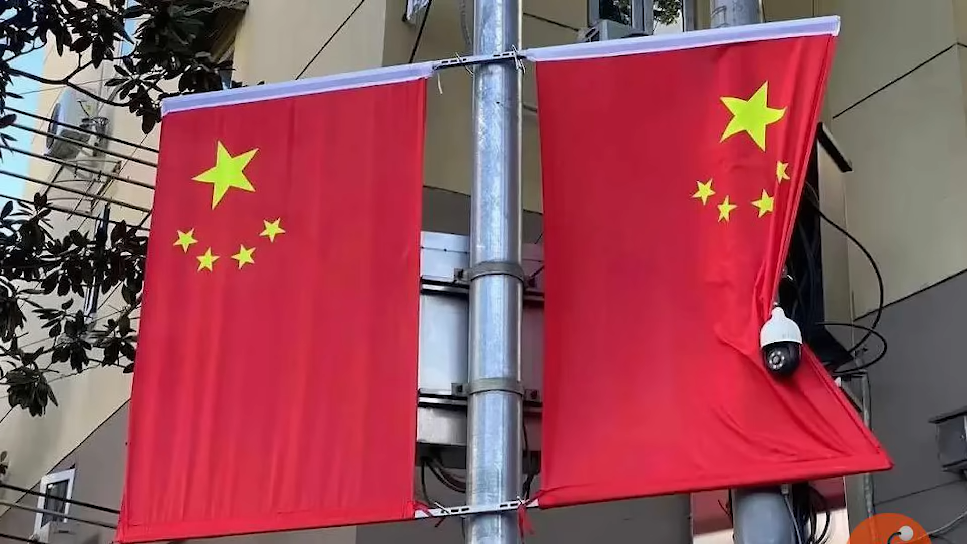 Chinese Blogger’s Horrifying Discovery Lead to Huge Consequences