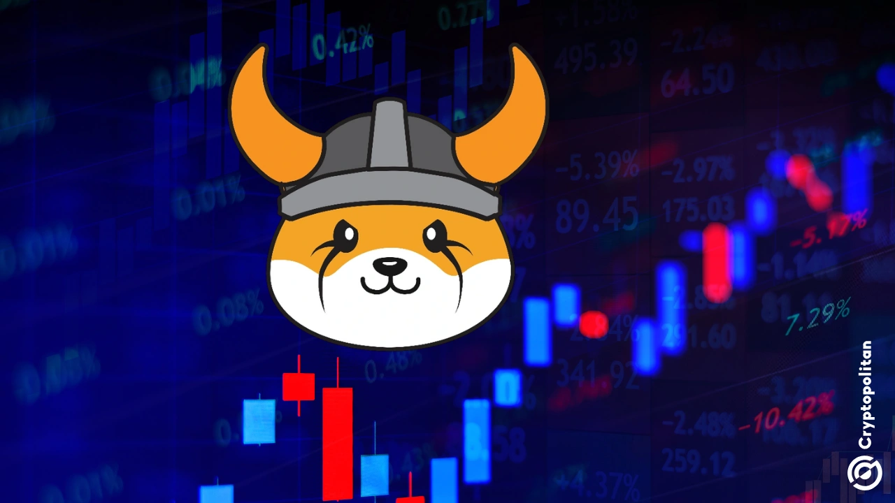 Elon Musk boosts Floki Inu after calling Floki the 'CEO of X' in tweets