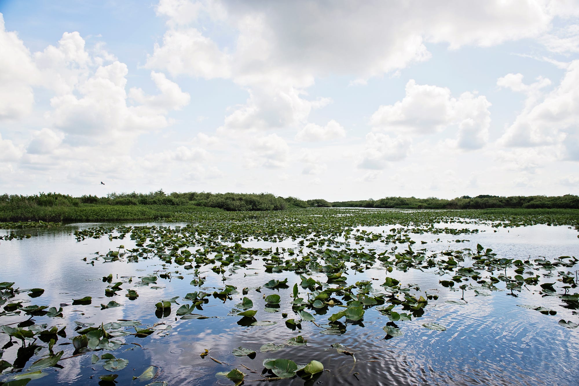 Who are Florida’s largest landowners? The top private landowner owns up ...
