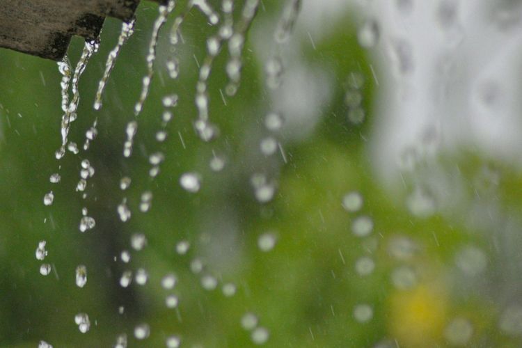 Mikroplastik di Air Hujan Jakarta: Penjelasan Pakar IPB tentang Sumber dan Bahaya bagi Kesehatan