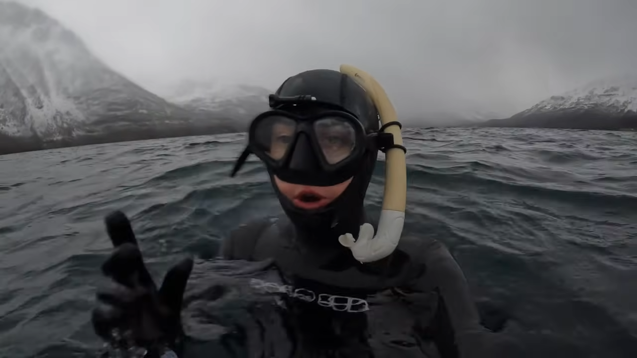 How one adventurer experienced swimming with killer whales