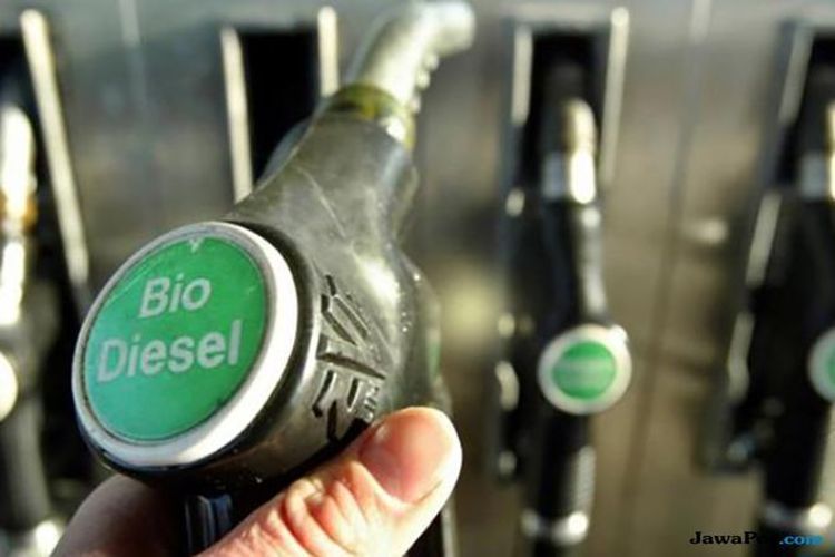 Mengukur Dampak Kebijakan B50 pada Industri Sawit Nasional