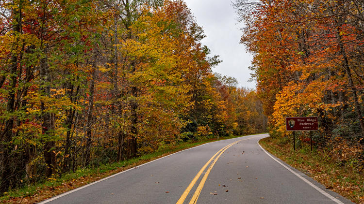 Drought stress impacting Piedmont fall foliage season