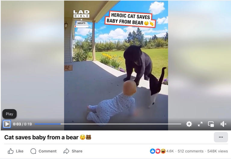 What's real? How to spot a fake AI video.