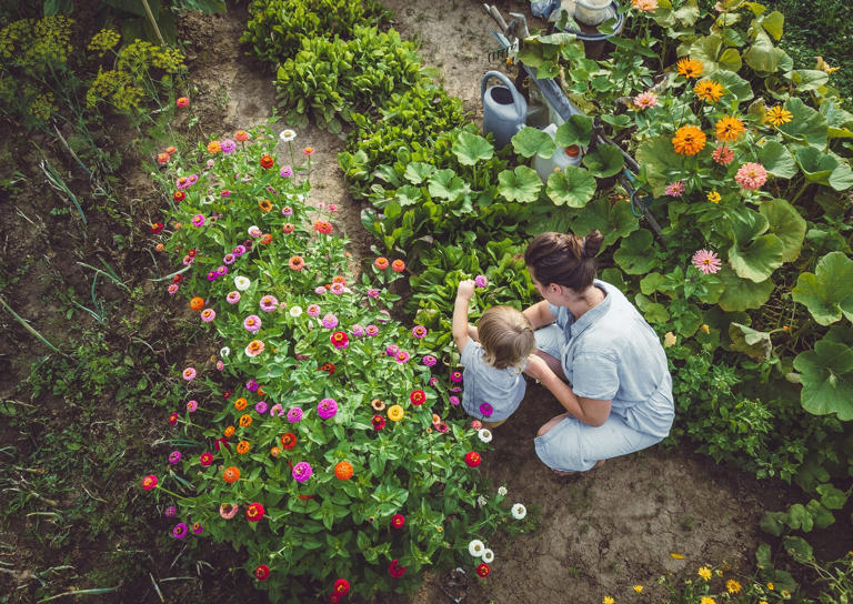 Grow a natural, chemical-free garden