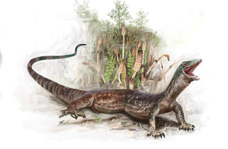 Enigmatic Jurassic reptile looks like a mix of snake and lizard
