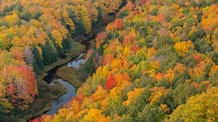 Michigan's Porcupine Mountains Wilderness State Park Offers A ...