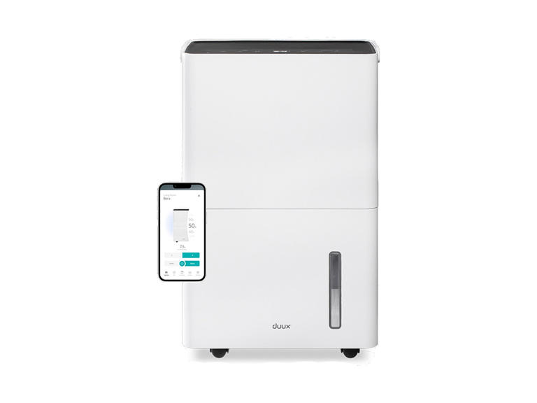 This affordable dehumidifier from Lidl can also dry clothes