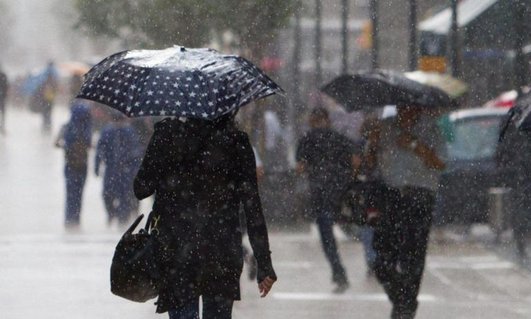 ¡Abrígate! Frente frío 8 provocará heladas y lluvias este lunes en México