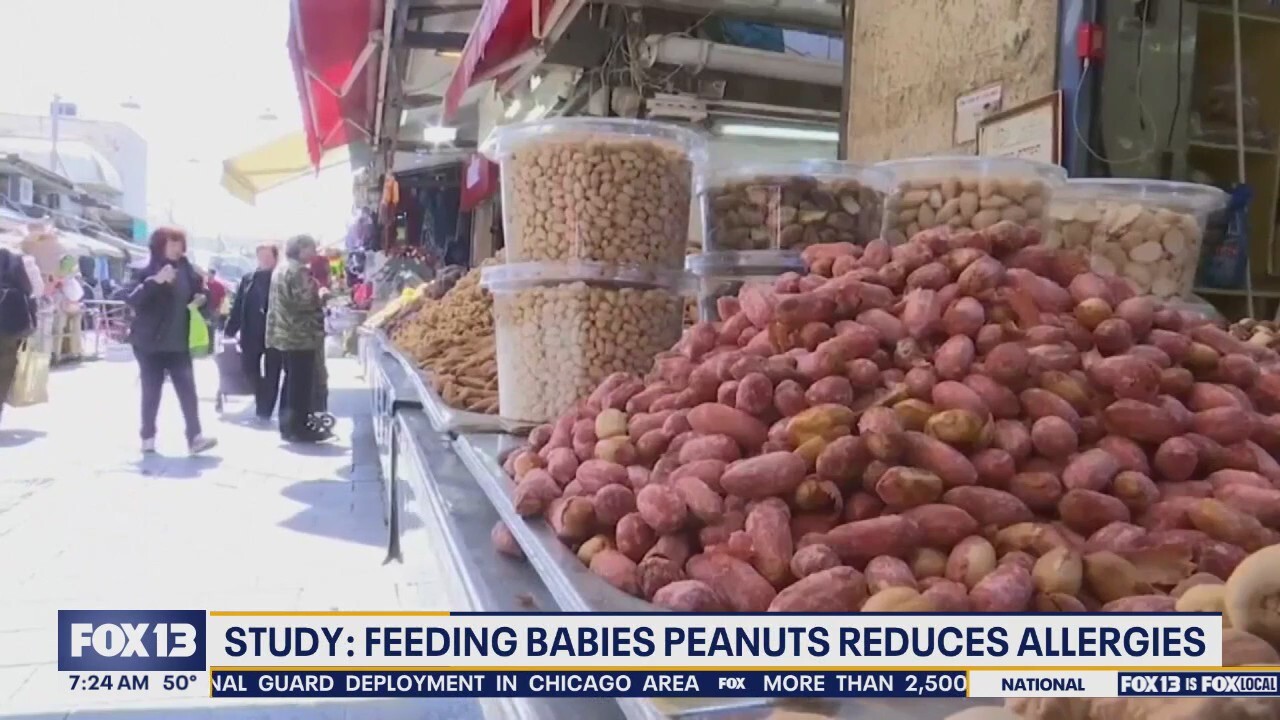 Peanut allergy study Feeding babies peanuts reduces allergies