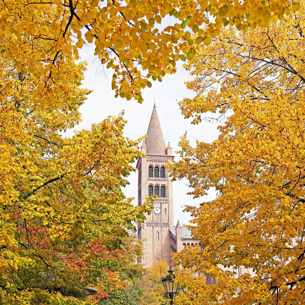 H-Kennzeichen Für Oldtimer - Amtliche Nummernschilder 520x110mm Made In Germany