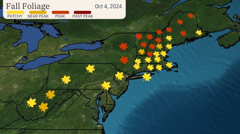 The 5 Best Fall Foliage Finder Resources
