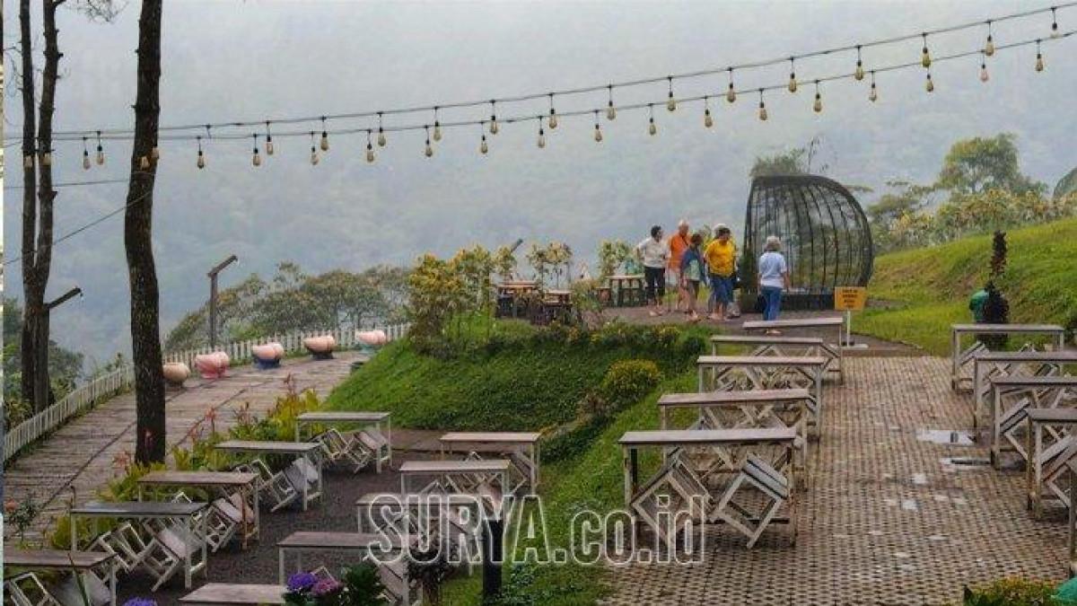 Wisata Alam Estetik di Aone Trawas: Pemandangan Gunung Welirang dan Spot Selfie Terbaik