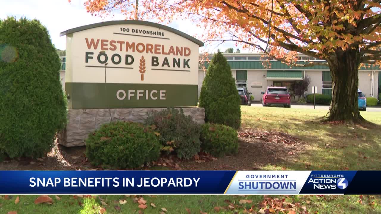 Food banks prepare for increased demand with SNAP benefits on pause