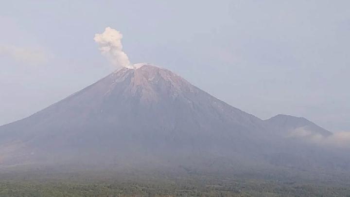 Gunung Semeru Meletus Beruntun, Abu Vulkanik 700 Meter di Puncak