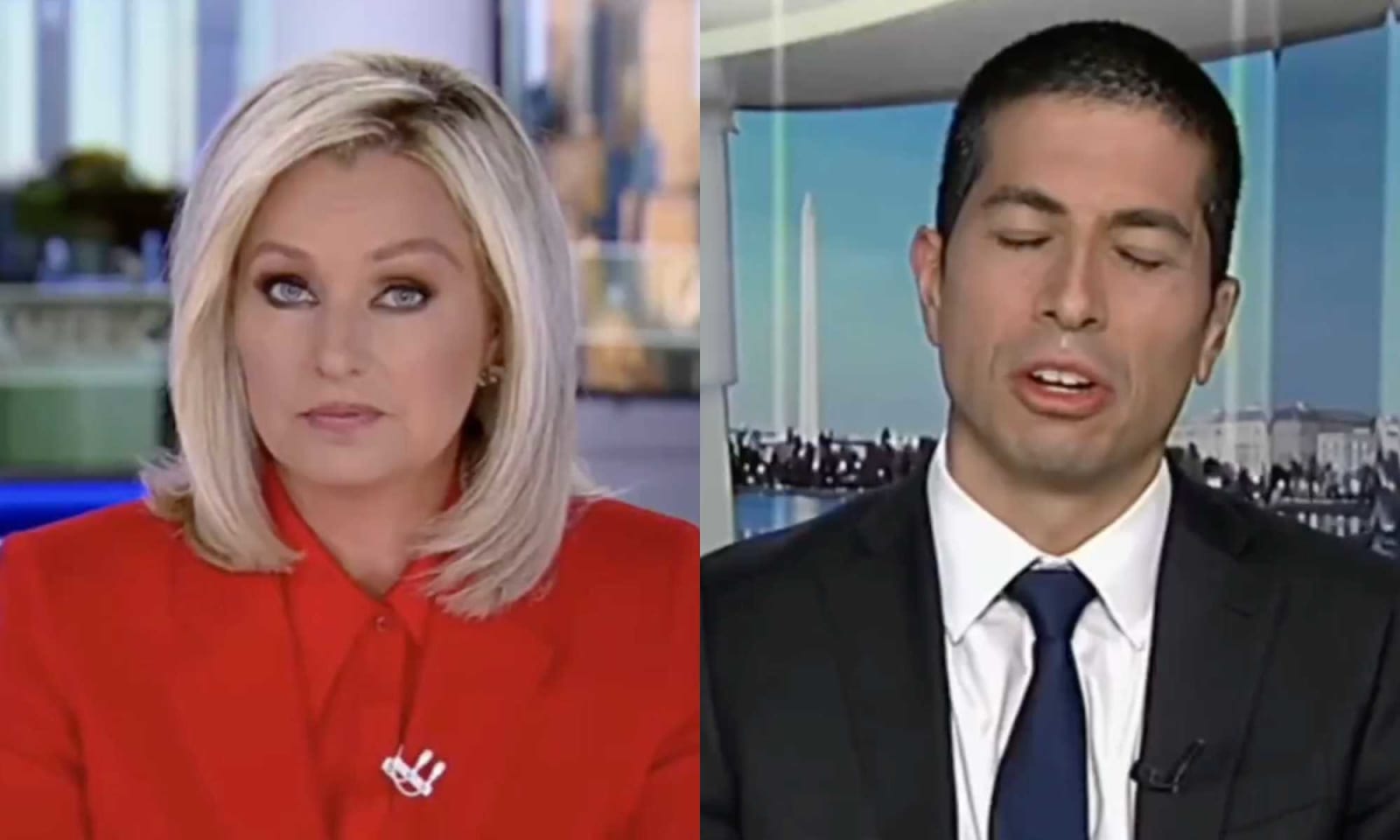'Stick to the point!' Fox host cuts off guest after he brings up Trump ...