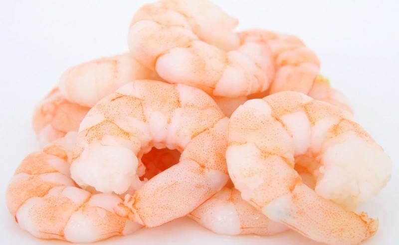 AA1OQYBN Shrimp Recalled at Publix Over Radiation Concerns