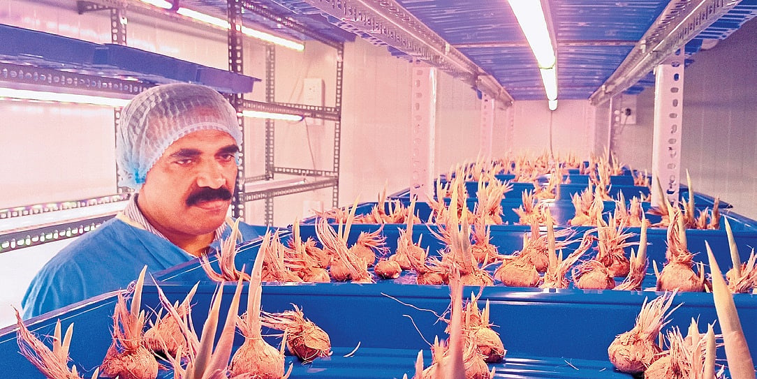 From Kashmir to Thrissur: James hits home run with his saffron experiment