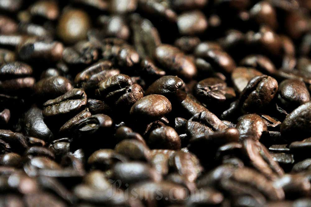 Kopi Jawa Timur Ludes Diekspor, Nilai Tembus Rp1,64 Triliun