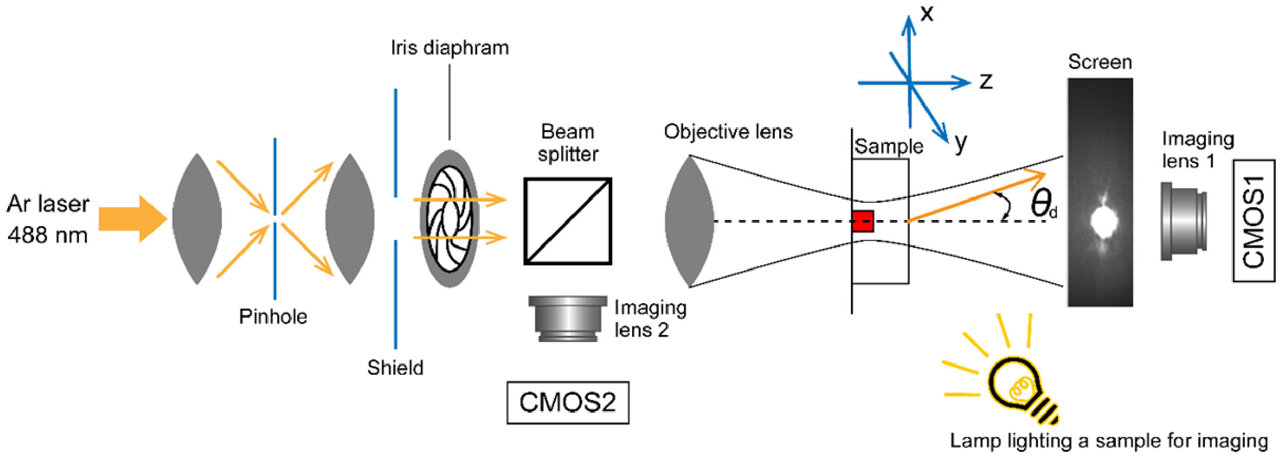 Advancing 3D structural imaging of neurons: A tenfold increase in ...