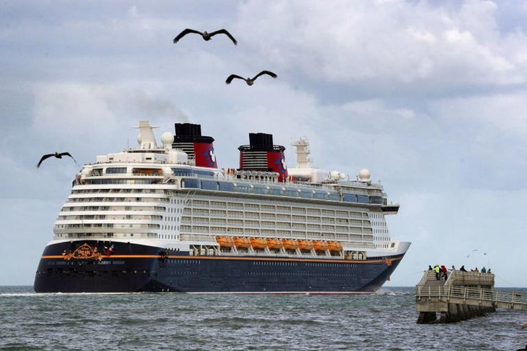 A photo of the Disney Dream