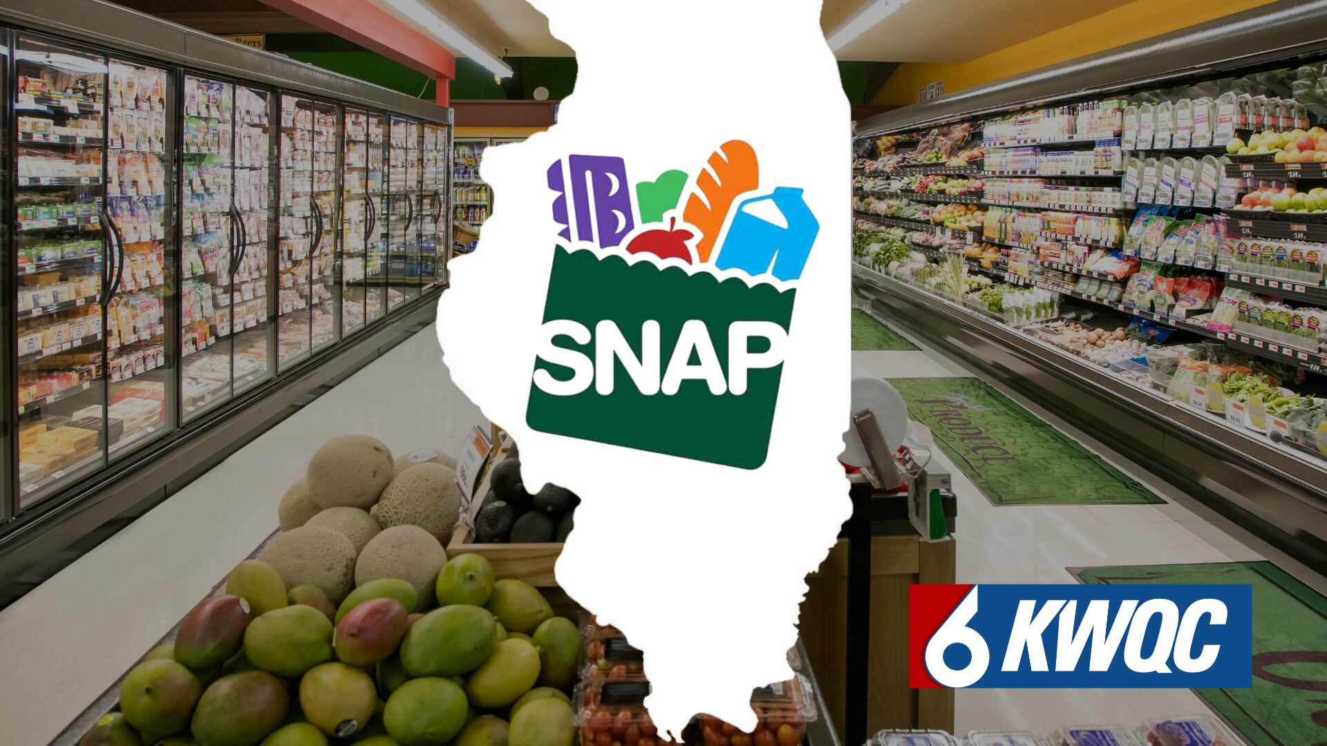 Nearly 2 million Illinoisians set to lose SNAP benefits amid ...