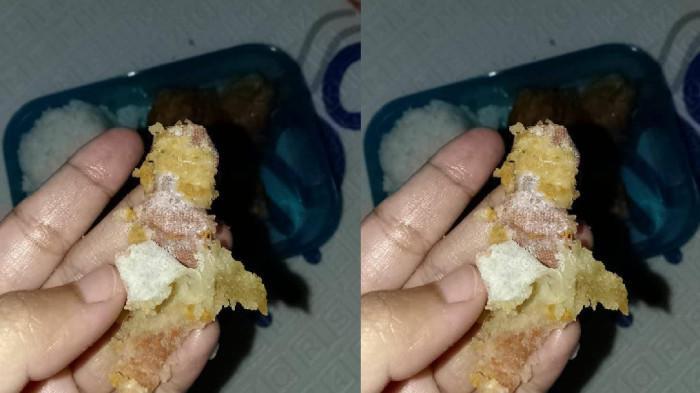 Tahu Goreng Tepung di MBG Siswa SD Sukabumi Keras, Ternyata Isinya Plester