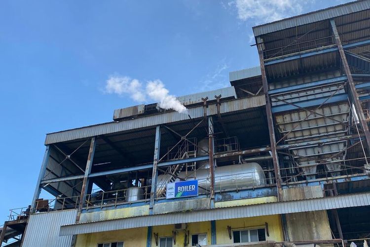 Mesin Giling Rusak, Petani Tebu Blora: Kebangkrutan Menanti