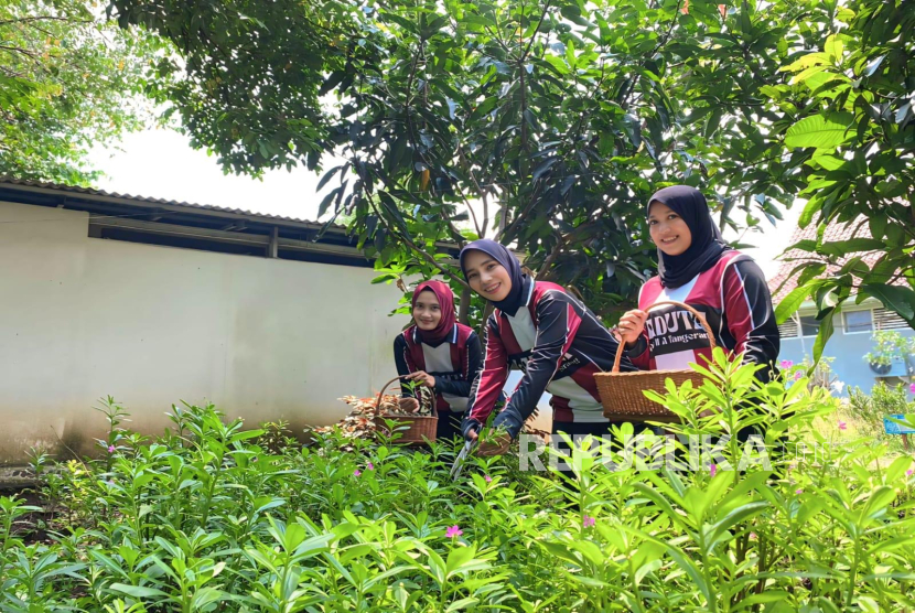Dukung Ketahanan Pangan, Warga Binaan Lapas Tangerang Tanam Gingseng