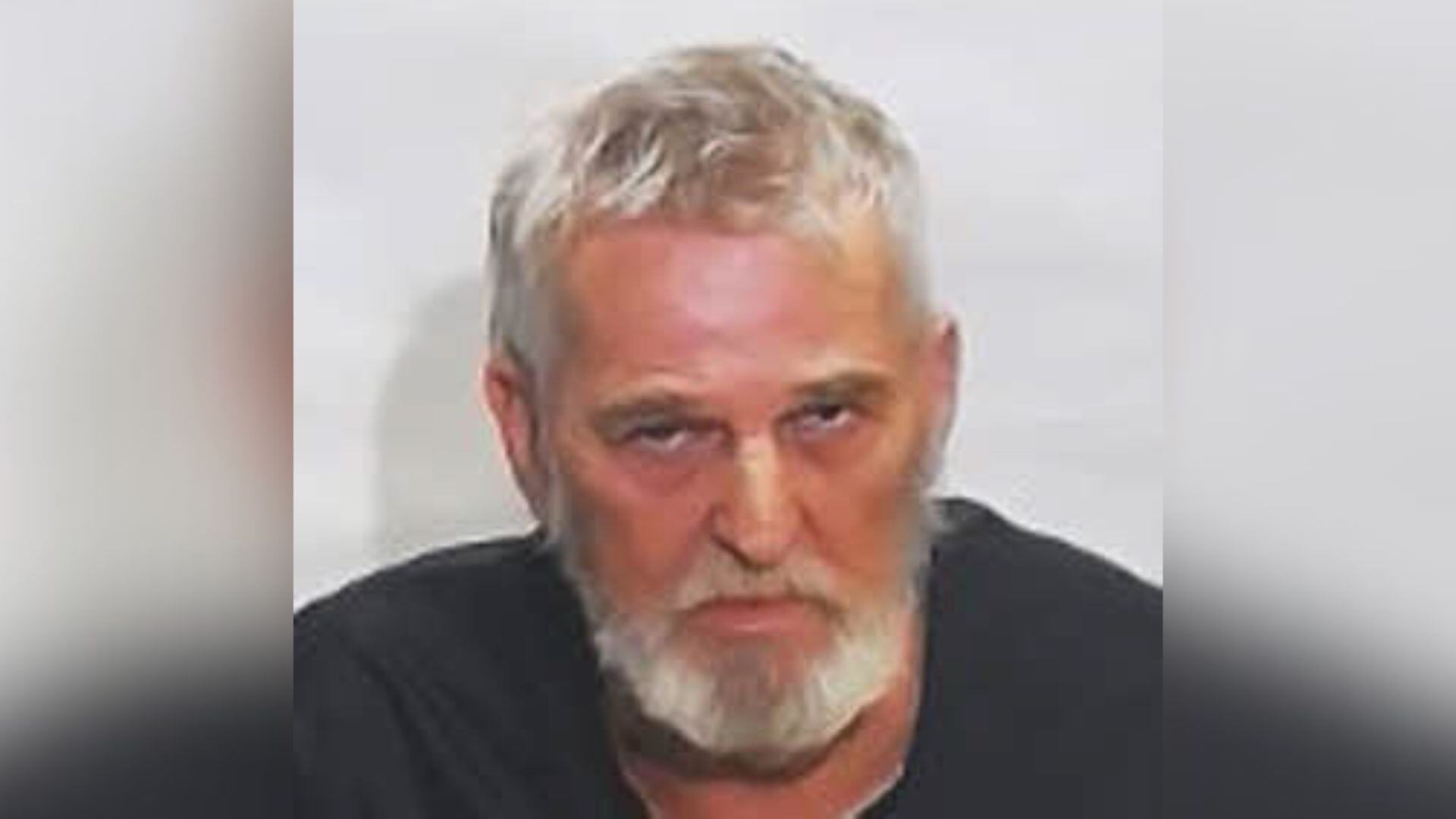 Man arrested after allegedly pointing gun at deputy responding to ...