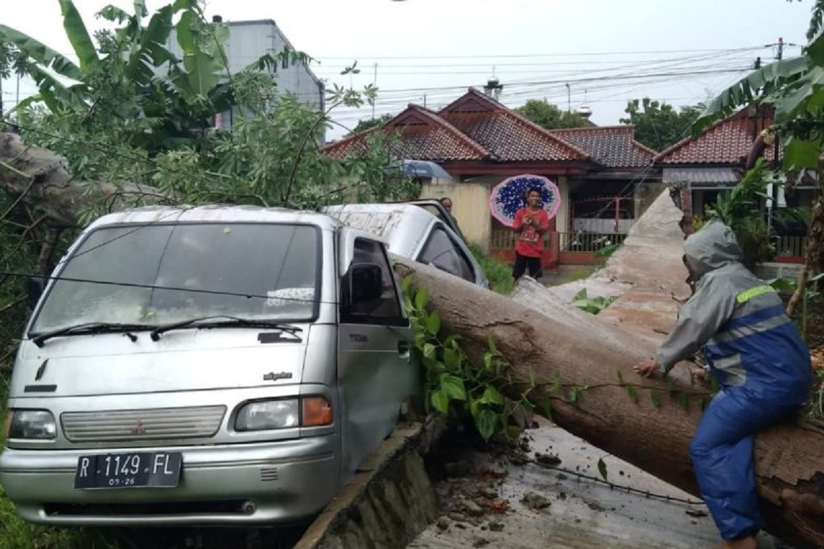 Senin Sore, Angin Kencang Rusak Purbalingga, Pohon Tumbang Hancurkan Mobil dan Rumah