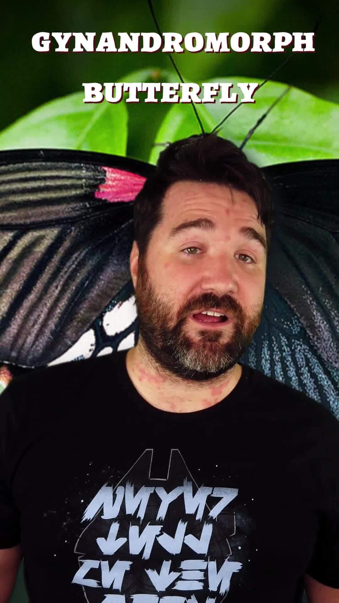 Rarest Things You'll Probably Never See