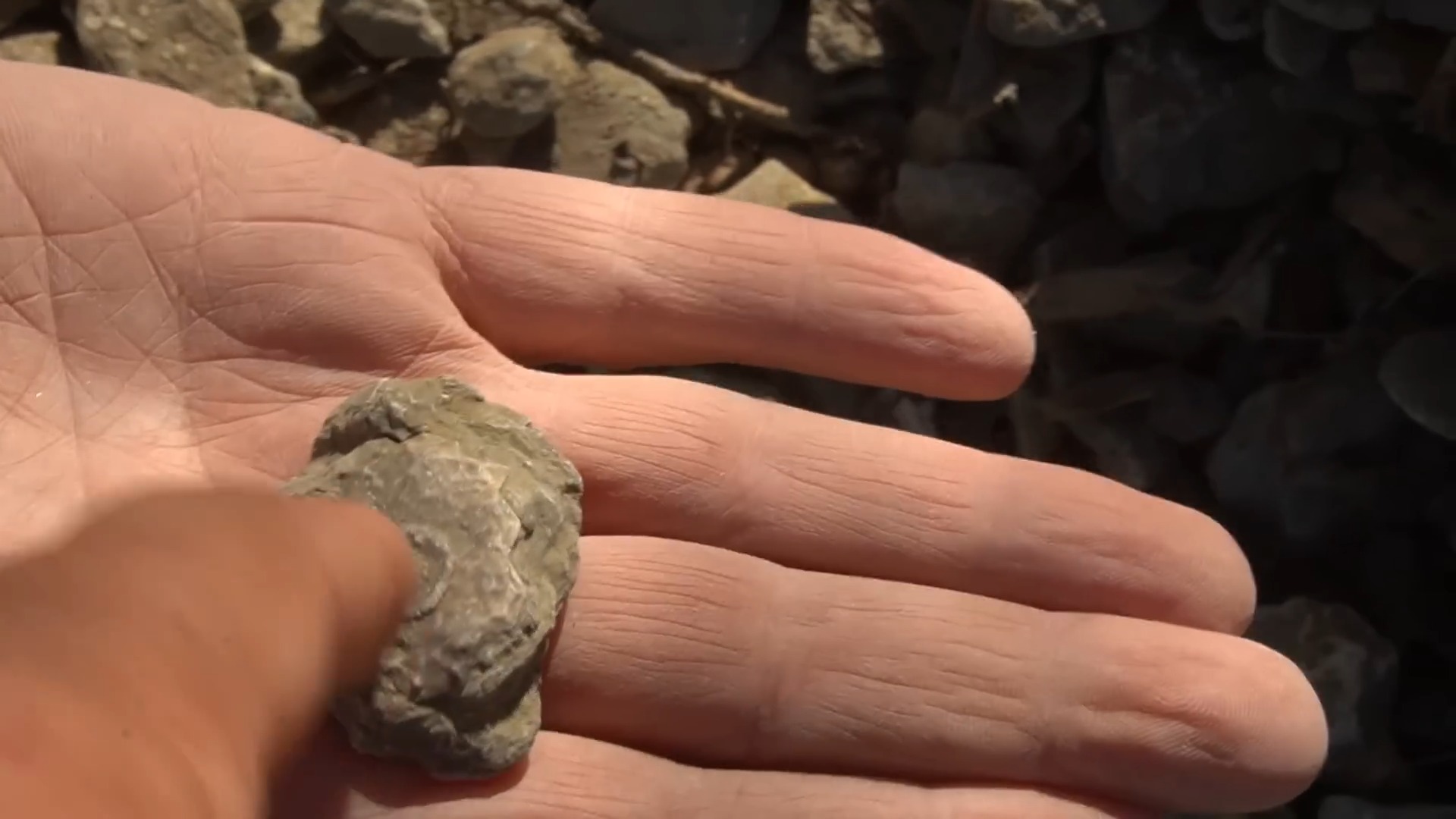 How I Found the Weirdest, Saddest Object in the Woods