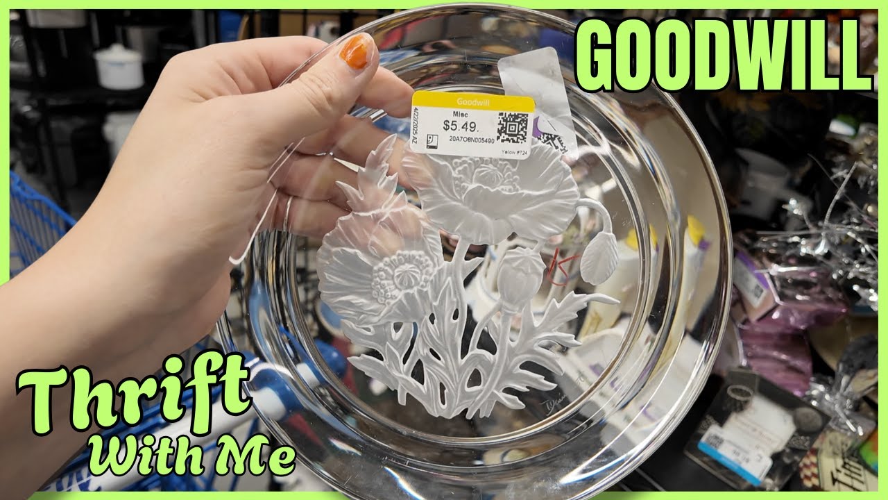 Can't believe it's still here at Goodwill thrift haul