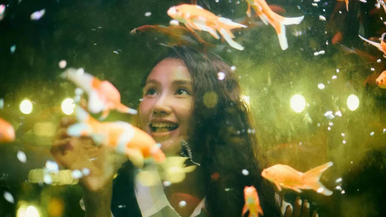 5 essential things one must know before getting a goldfish: Complete ... - Goldfish Care For Large Population Water Tanks
