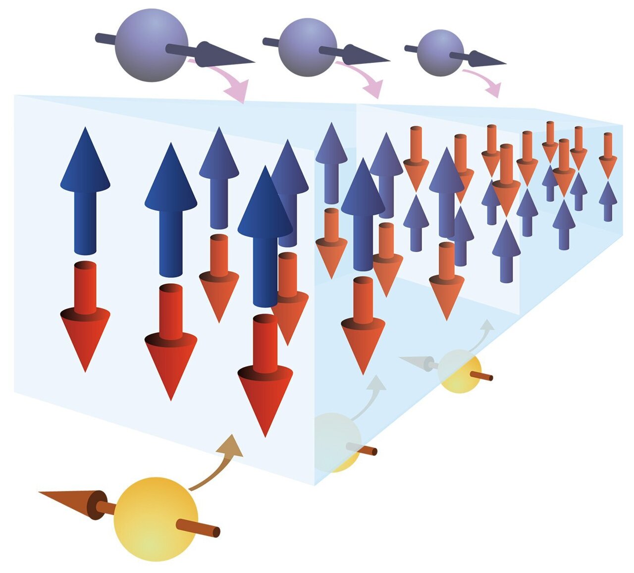 Dual torque from electron spins drives magnetic domain wall displacement